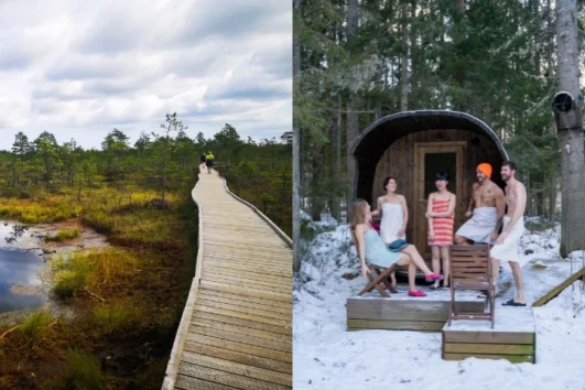 Estonia's Bogs and Sauna Tour