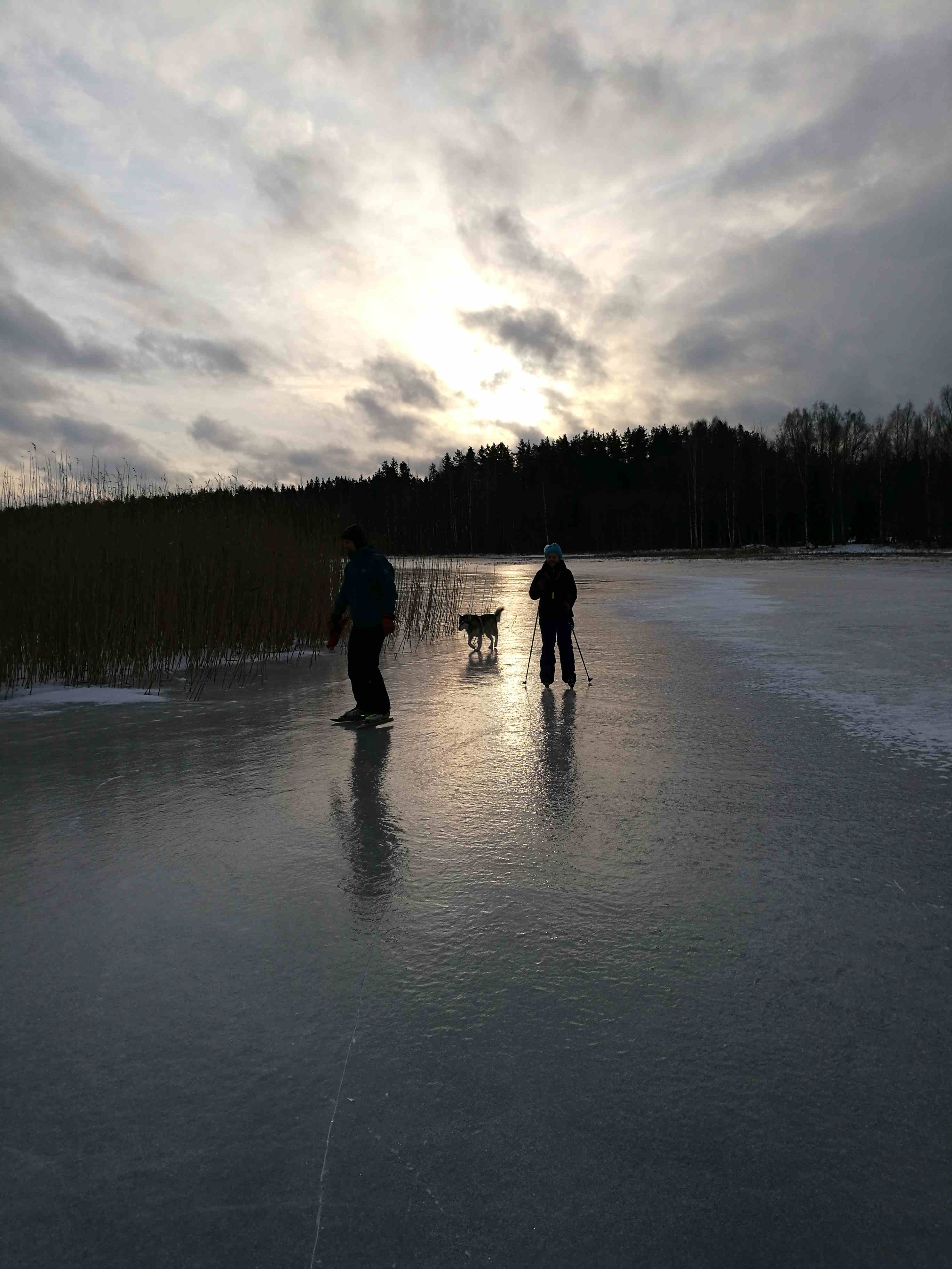 Ice Skating on Forest Lakes Winter activities in Estonia TallinnDayTrip