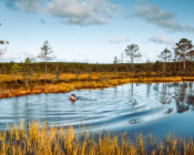 ©J. Leppmets. Soviet Tallinn, Estonia