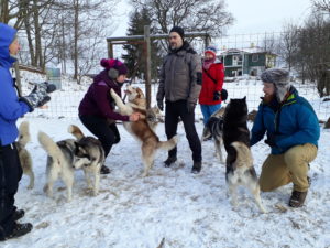 Husky park tour in Estonia