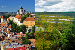 Alternative tours in Tallinn - Old Town and bog tour