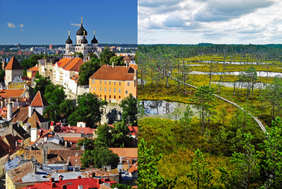 Alternative tours in Tallinn - Old Town and bog tour