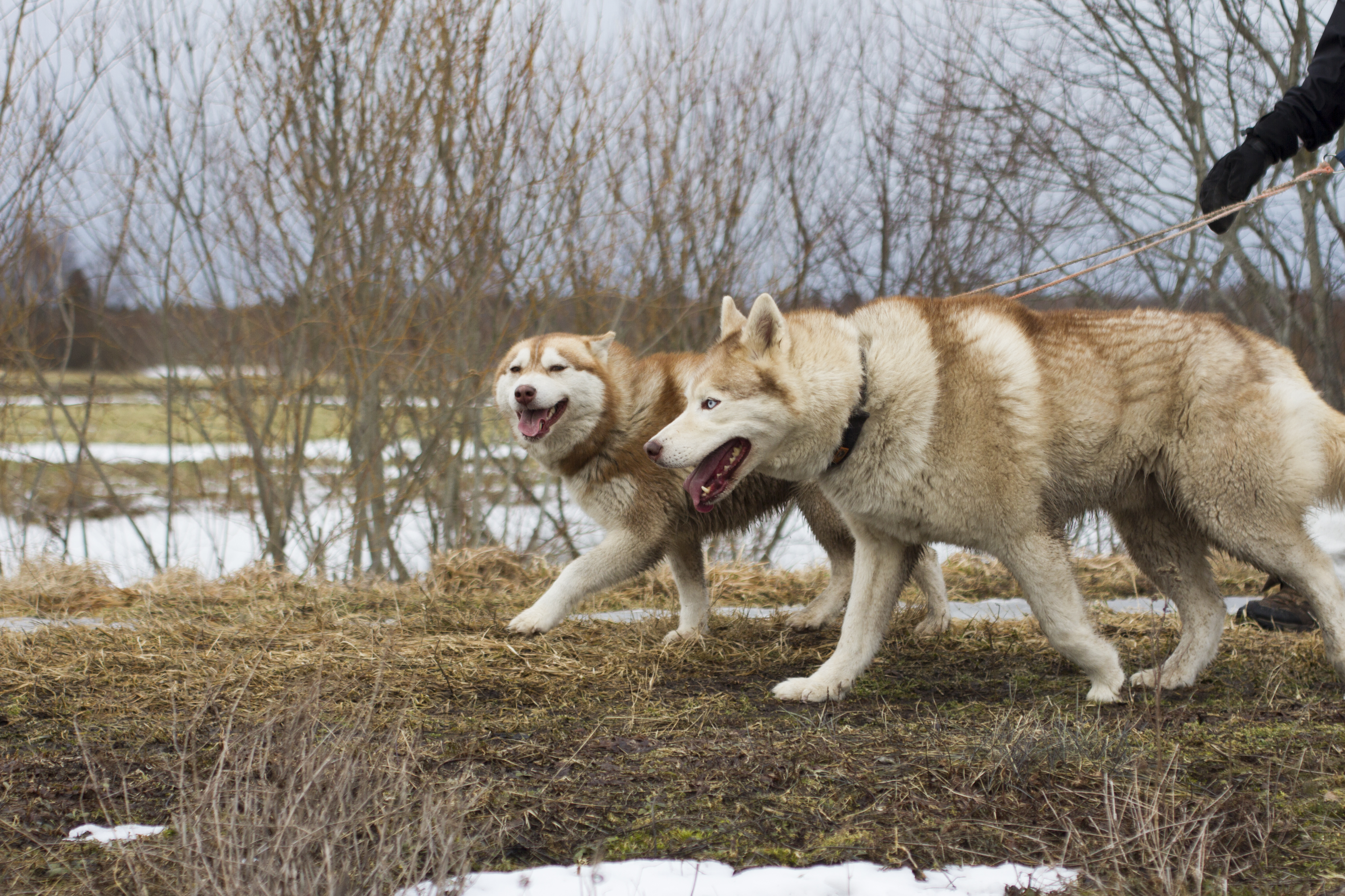 Faili IMG_1280.jpg koopia