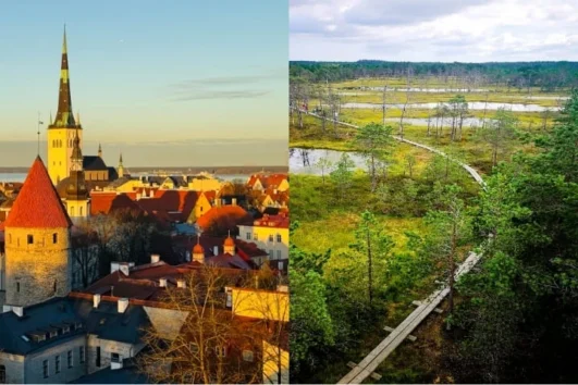 Tallinn Old Town Tour with Bog Walk