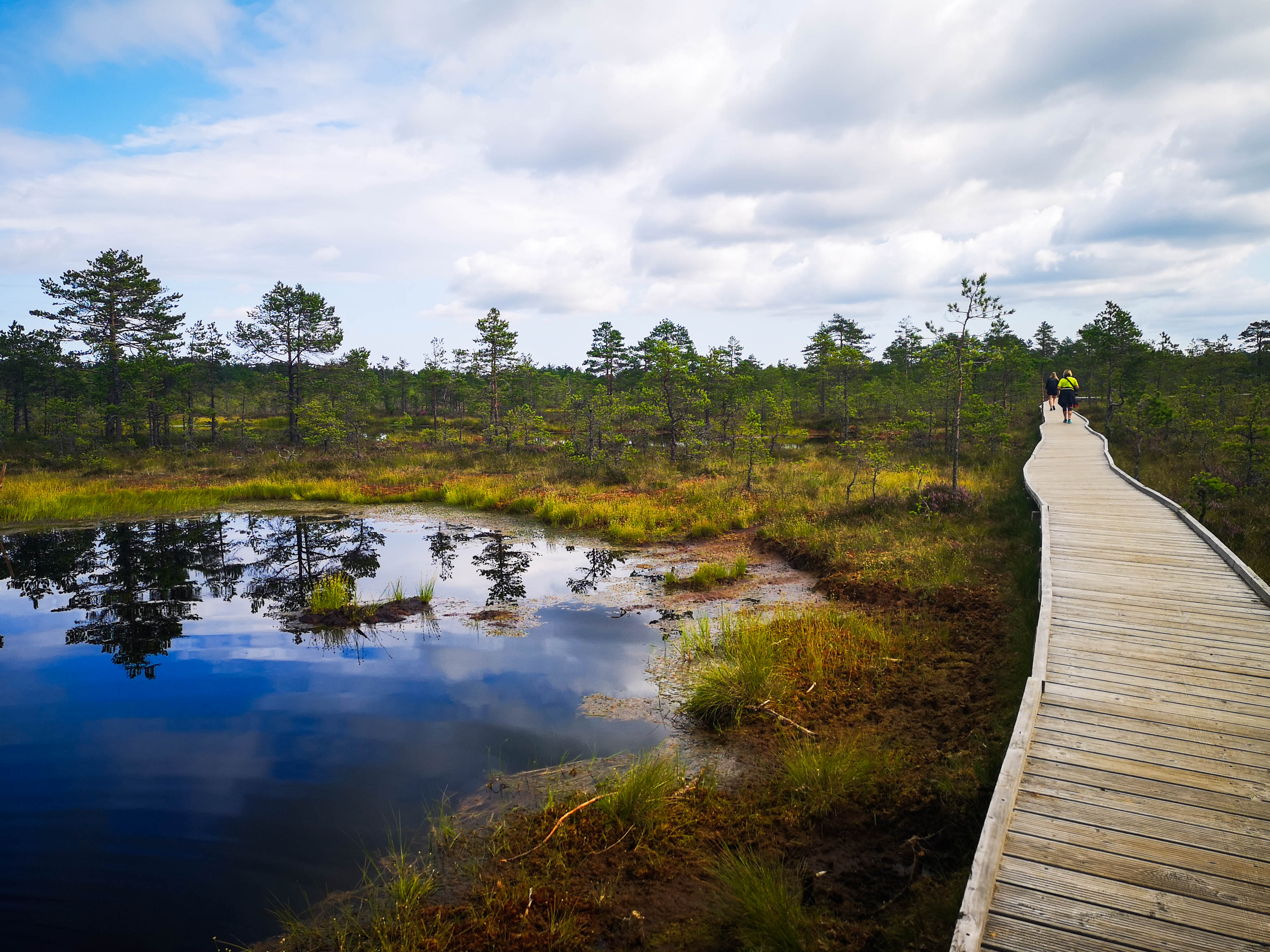 ©J. Leppmets - Bog pools in Viru bog