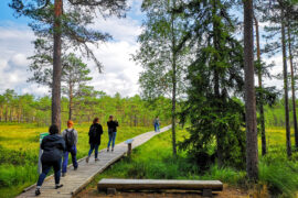 ©J. Leppmets - Visiting Viru bog