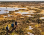 ©A. Teede. An active day out of Tallinn - bog-shoe hike!