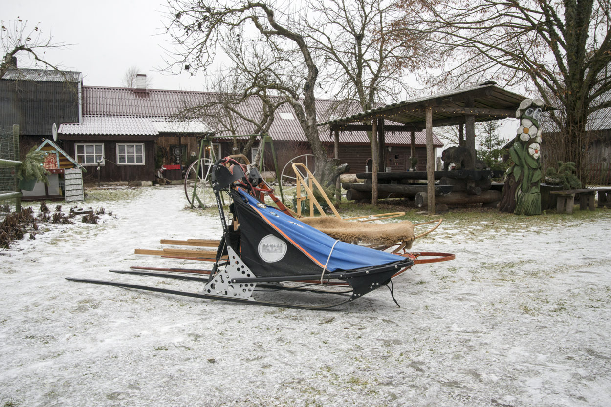 Hellerkantri husky. Autor Wilda Nilsson (12)