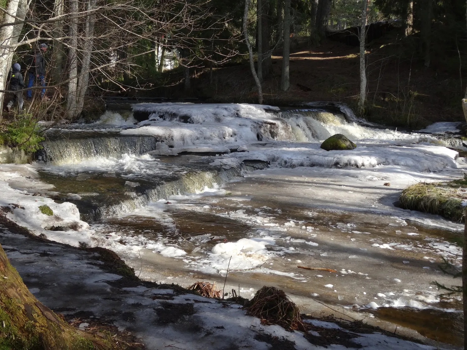Treppoja waterfalls in winter near Tallinn, Estonia with frozen cascades and forest scenery