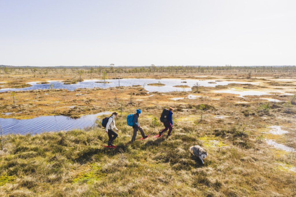 ©A.Teede. Bog Shoe Hiking Tour
