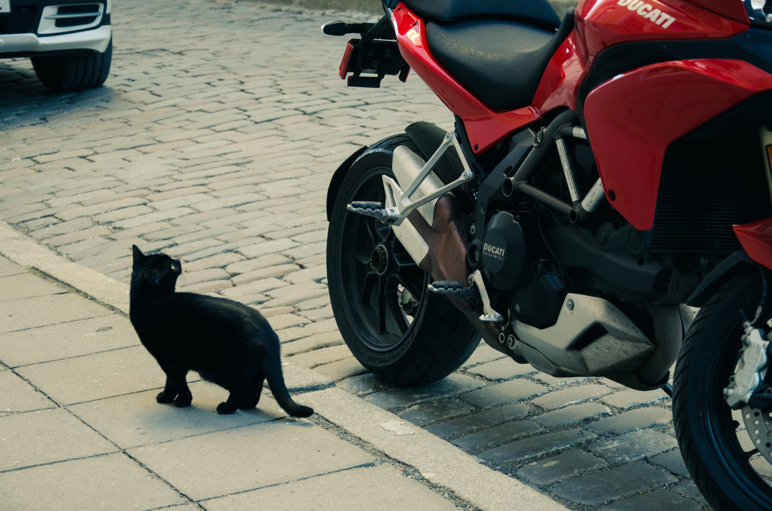 Ghost Tours in Tallinn