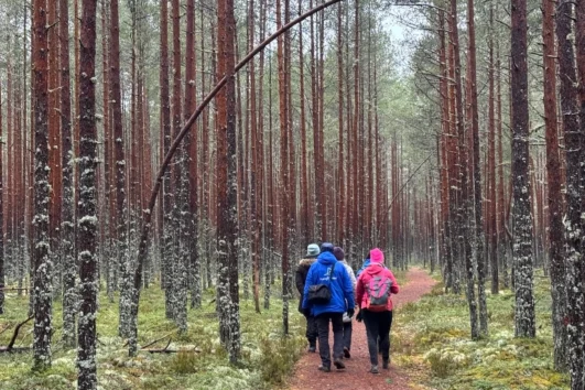 Hiking Lovers Tour in Lahemaa National Park: Three Waterfalls