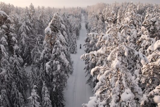 Tour to Husky Park and Dog-Sled ride