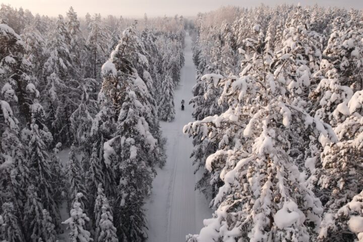 Tour to Husky Park and Dog-Sled ride