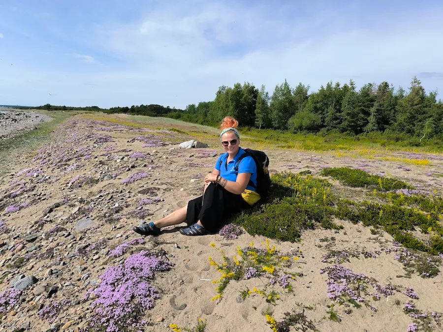 Our guide Helen resting on a coastal sand strip covered in pink thyme flowers on Aksi Island in Estonia