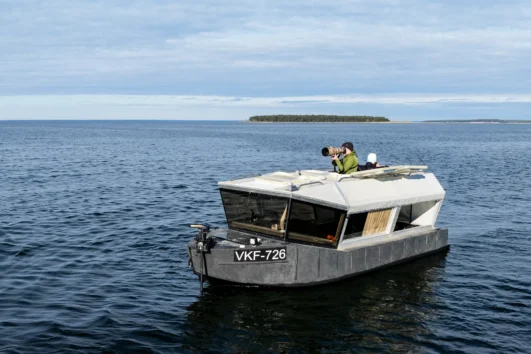 Wildlife & Seal Watching Tour by Sea-safari Boat
