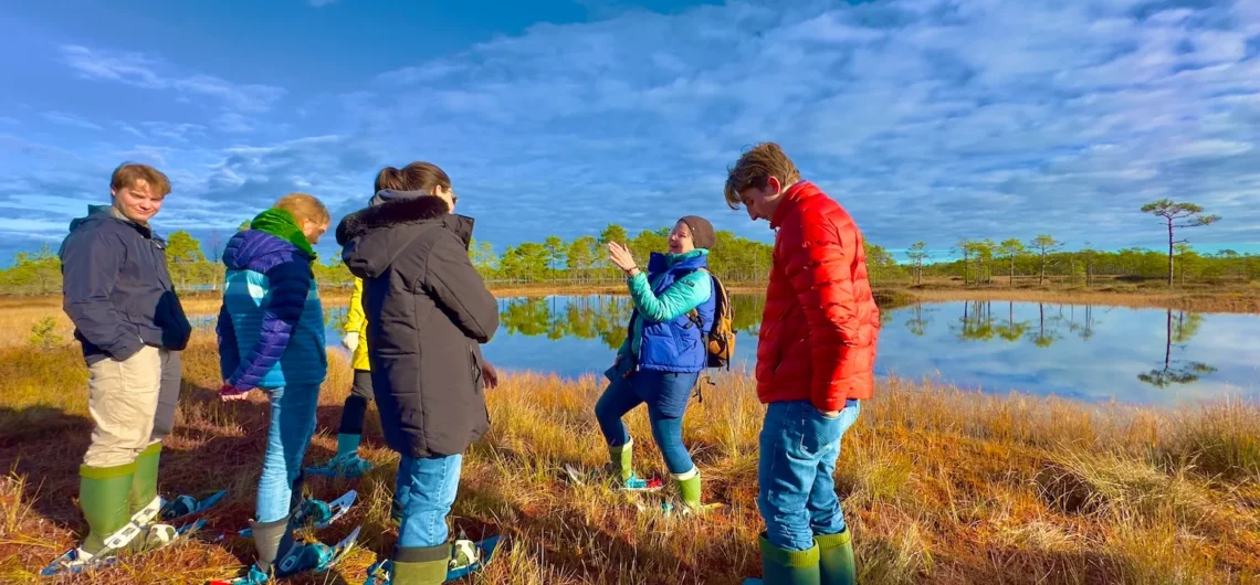 Colourful bog shoe hike in North Estonia