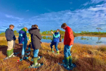 Colourful bog shoe hike in North Estonia