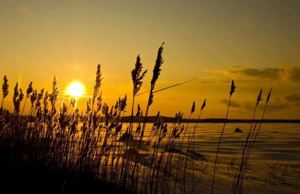 Low winter sun over the Baltic Sea showing short daylight during winter weather in Estonia.