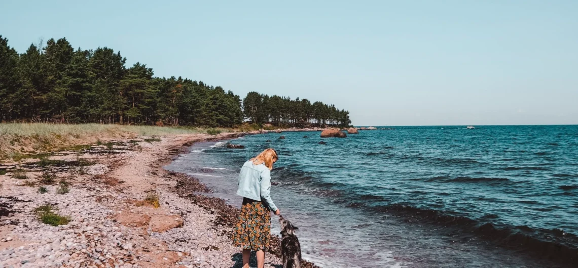 Person walking with a dog along the rocky shore of Prangli Island during warm summer weather in Estonia.