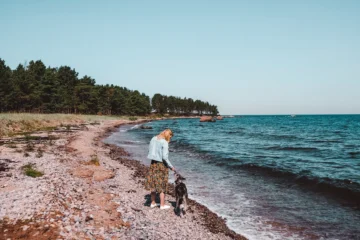 Person walking with a dog along the rocky shore of Prangli Island during warm summer weather in Estonia.
