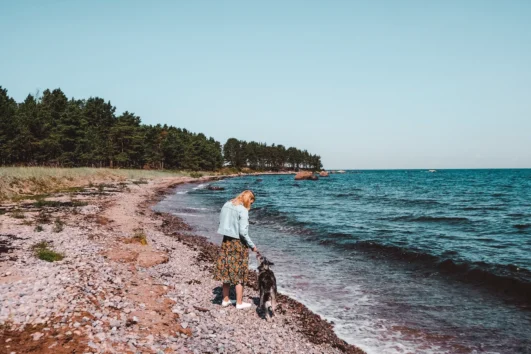 Person walking with a dog along the rocky shore of Prangli Island during warm summer weather in Estonia.
