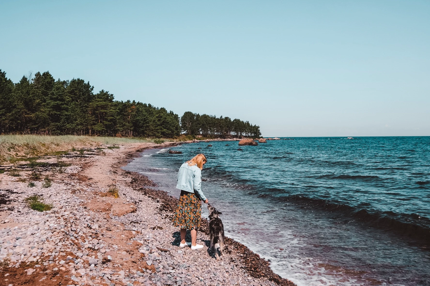 Person walking with a dog along the rocky shore of Prangli Island during warm summer weather in Estonia.