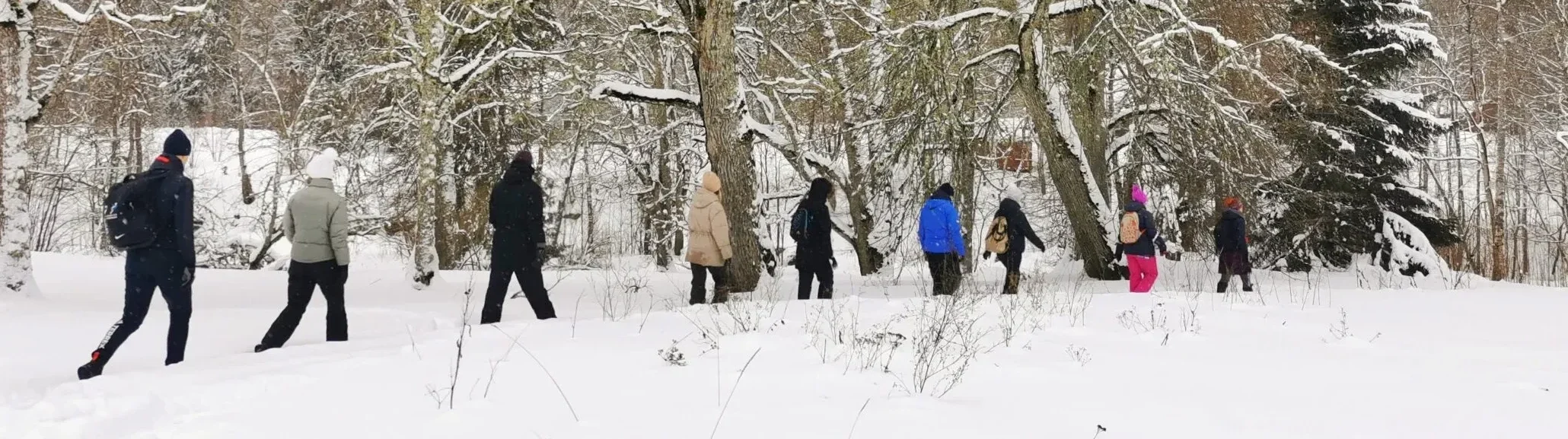 Tour de senderismo en el Parque Nacional de Lahemaa: Tres Cascadas