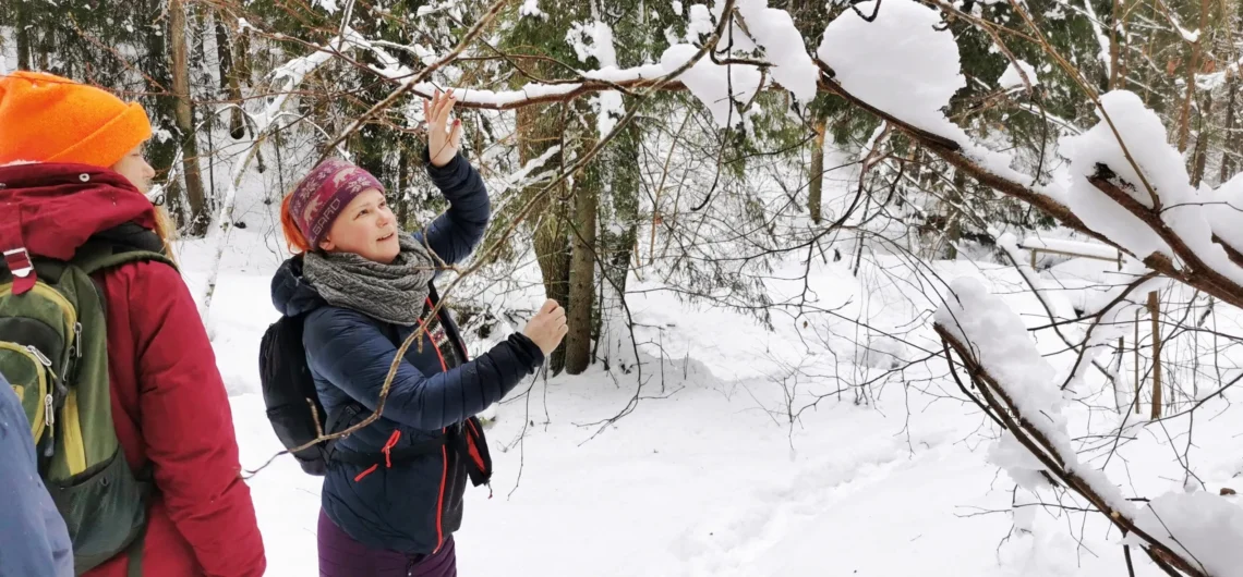 Guide showing winter forest plants to hikers during a snowy nature walk