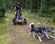 Dog-Sledding in Estonia