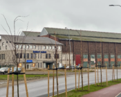 K.L.Koppel Kohtuotsa viewing Platform