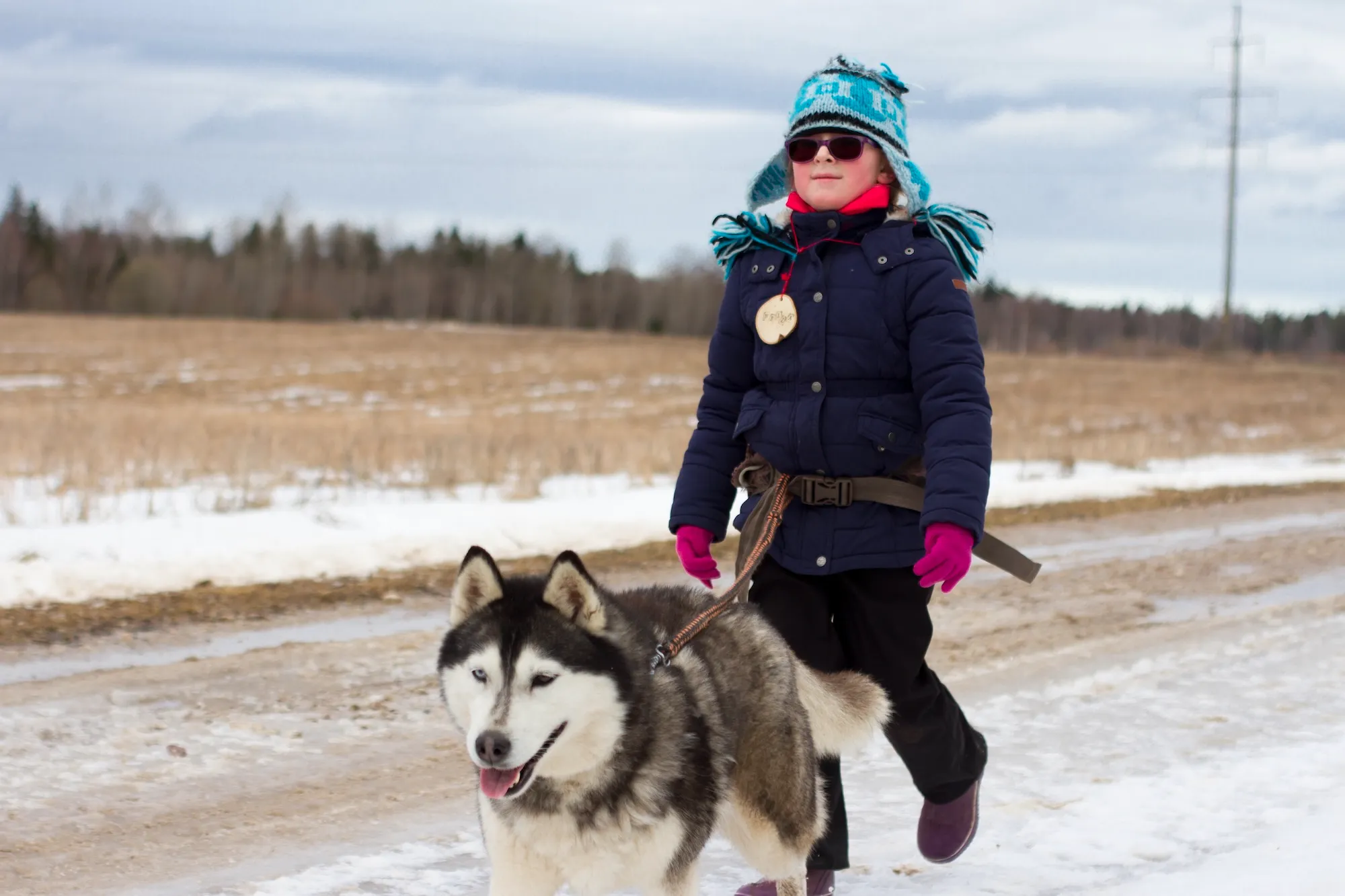 Child hiking with a husky on a canicross trail in Estonia