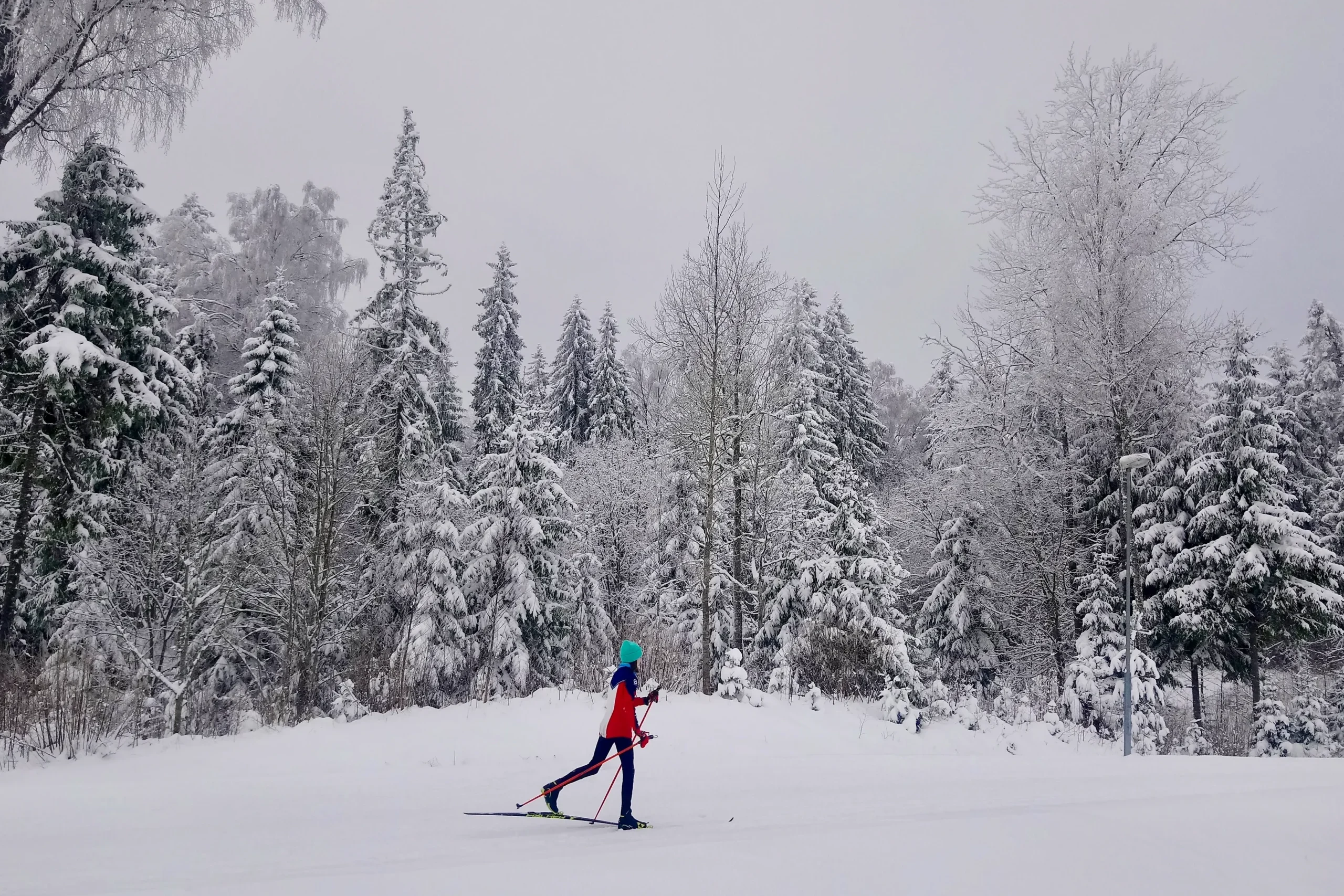 Cross-country skier moving through snow-covered forest in Estonia