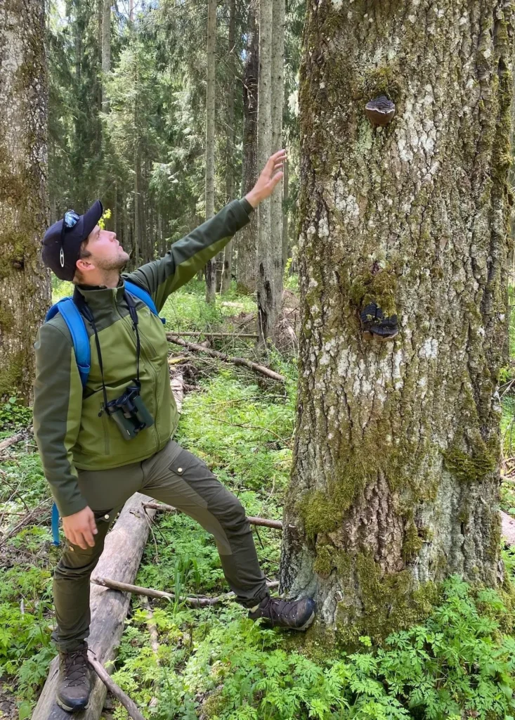 tonis_sisupilt Tallinn Day Trip guide Tõnis