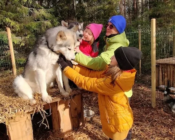 Small Lapland, Kõrvemaa, Dog-Farm 