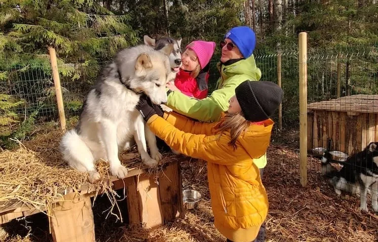 Small Lapland, Kõrvemaa, Dog-Farm 
