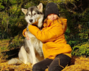 Dog-Sledding in Kõrvemaa, Estonia