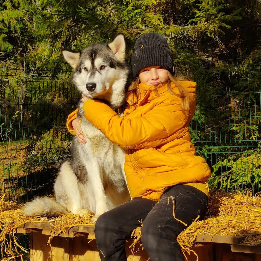 Dog-Sledding in Kõrvemaa, Estonia