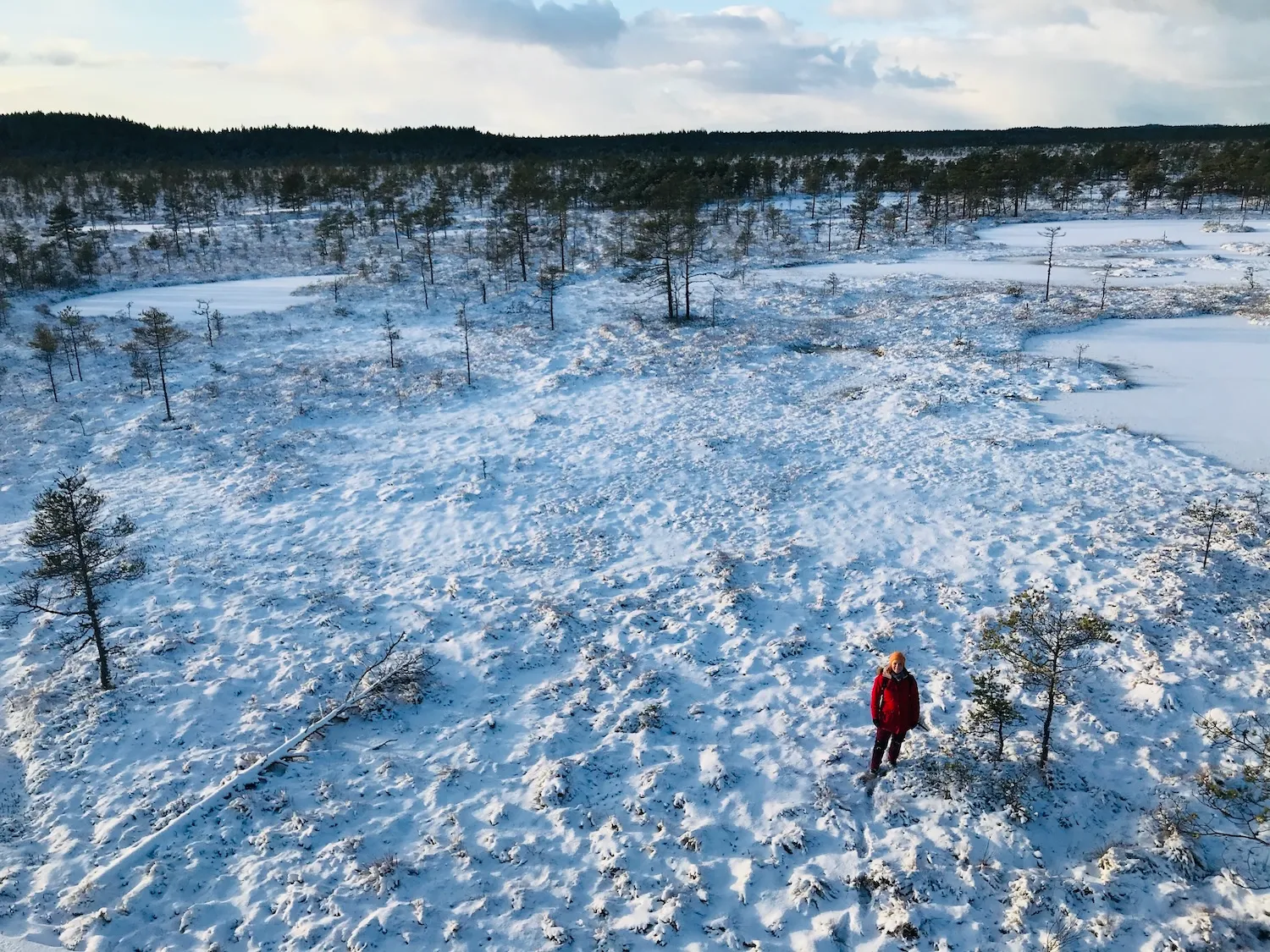 Winter bog hike in Kõrvemaa with a lone hiker walking across a snowy bog landscape in Estonia.