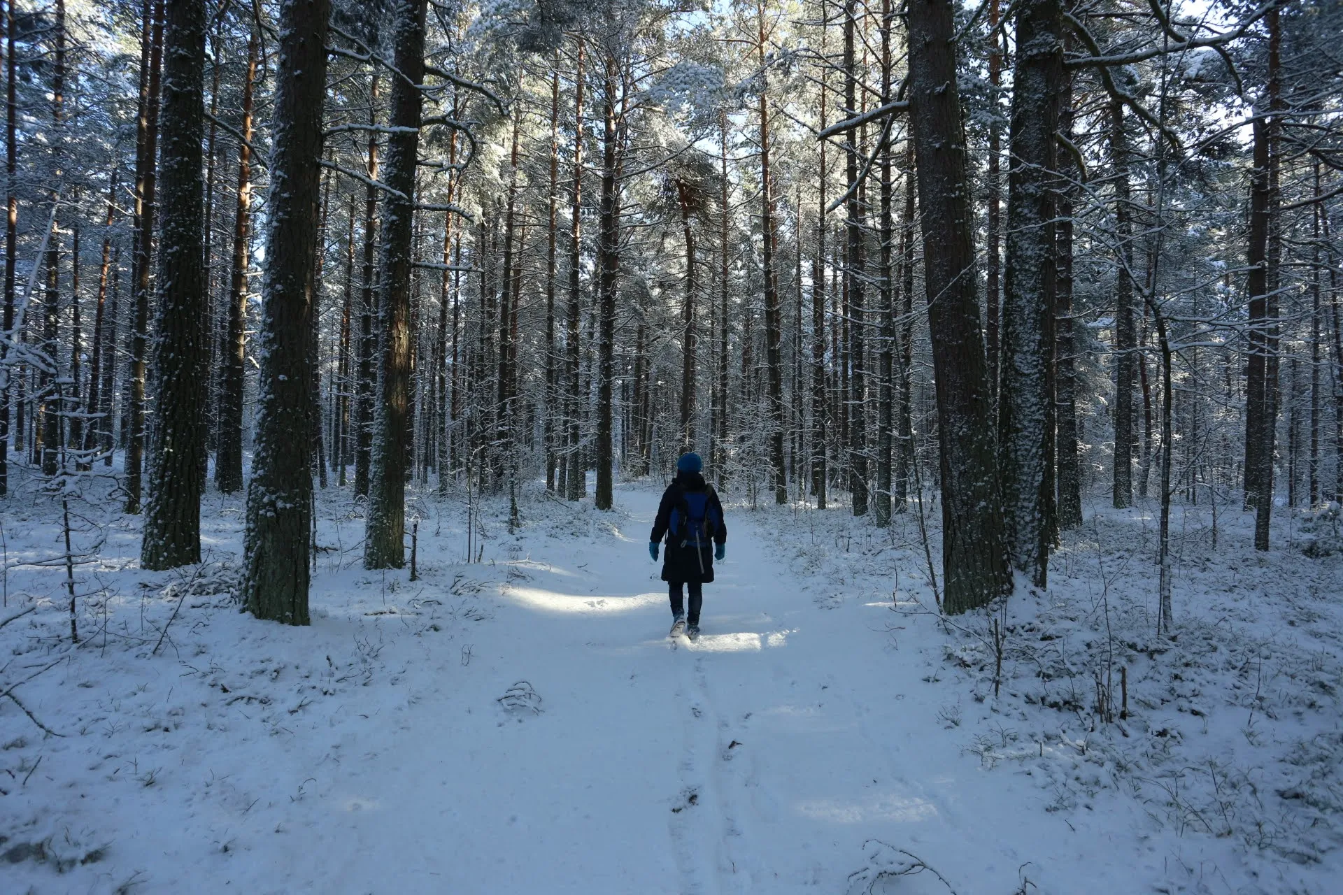 Person walking along a snowy forest trail on Prangli Island