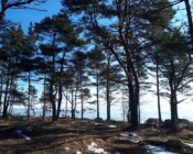Pushing sledges are traditional sledges to move around on the islands in North Estonia in winter-time