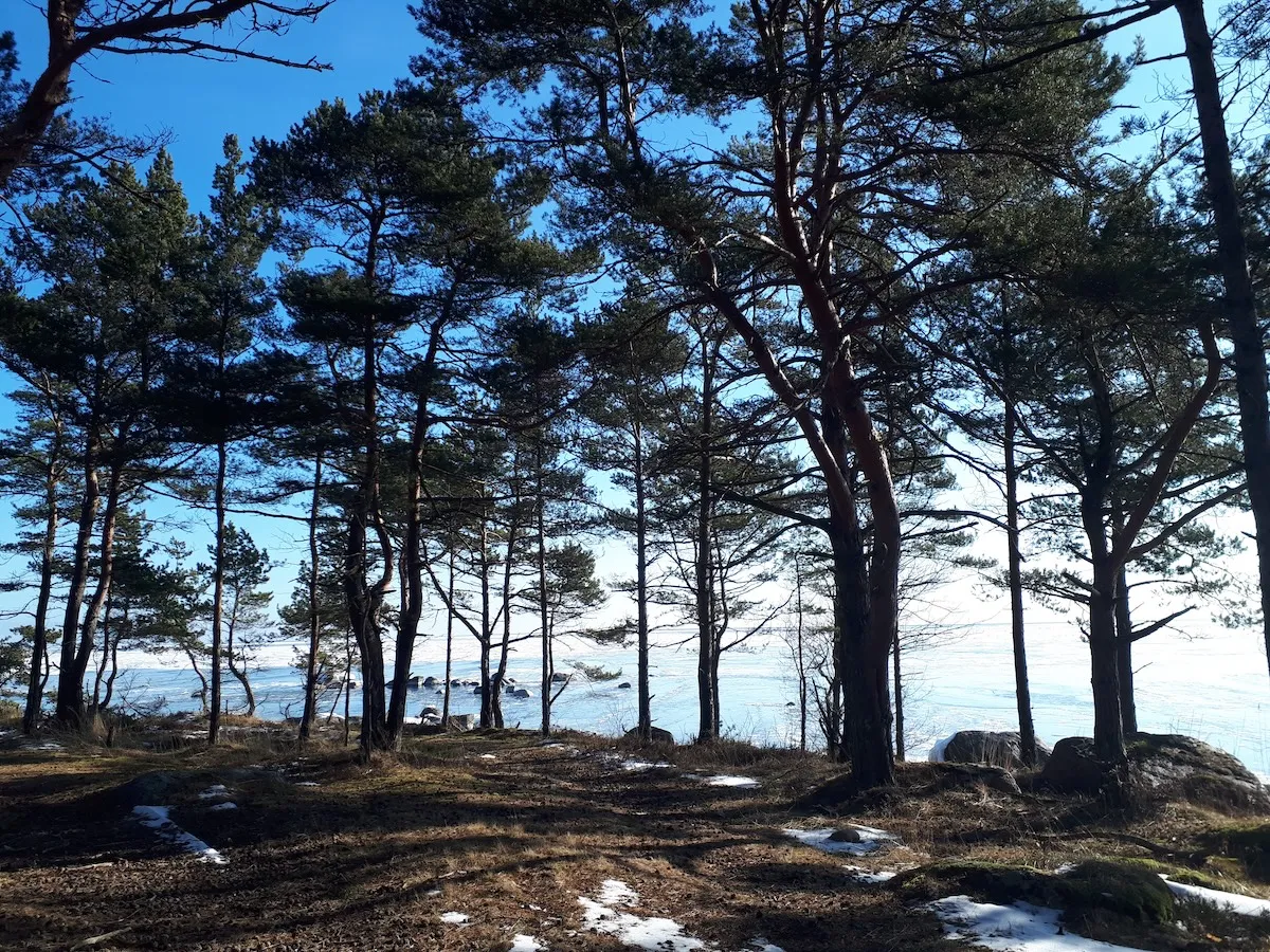 Pushing sledges are traditional sledges to move around on the islands in North Estonia in winter-time