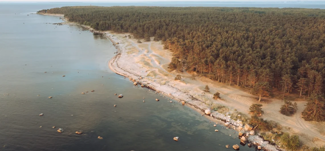 Drone view of sandy beach and coastal pine forest on Prangli Island