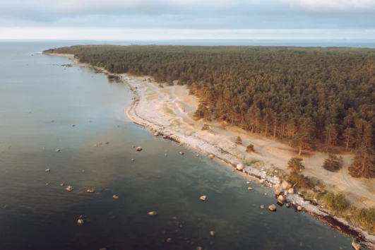 Drone view of sandy beach and coastal pine forest on Prangli Island