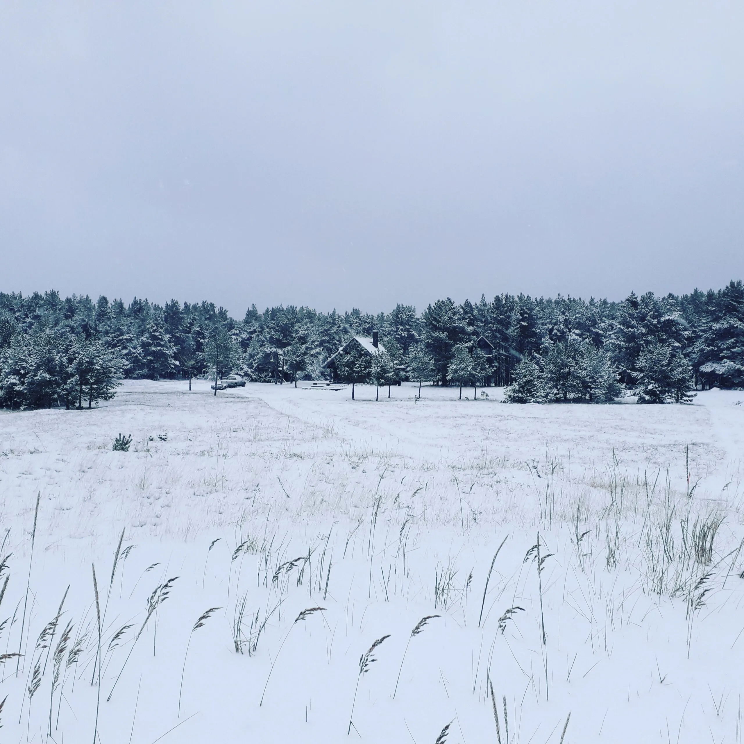 Pushing sledges are traditional sledges to move around on the islands in North Estonia in winter-time