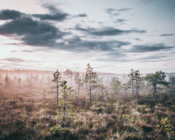 ©J. Leppmets. Soviet Tallinn, Estonia