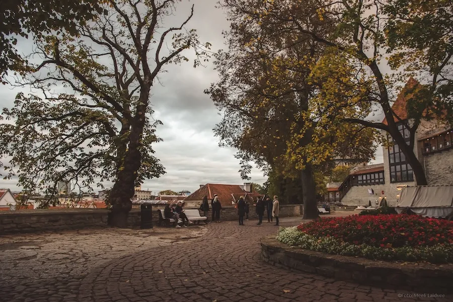 Ghost Tours in Tallinn