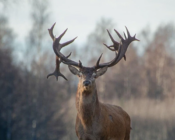 ©J. Leppmets. Soviet Tallinn, Estonia