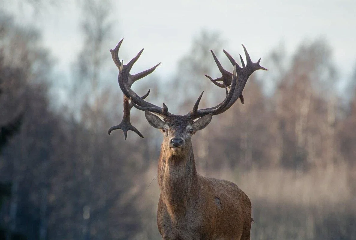 ©J. Leppmets. Soviet Tallinn, Estonia