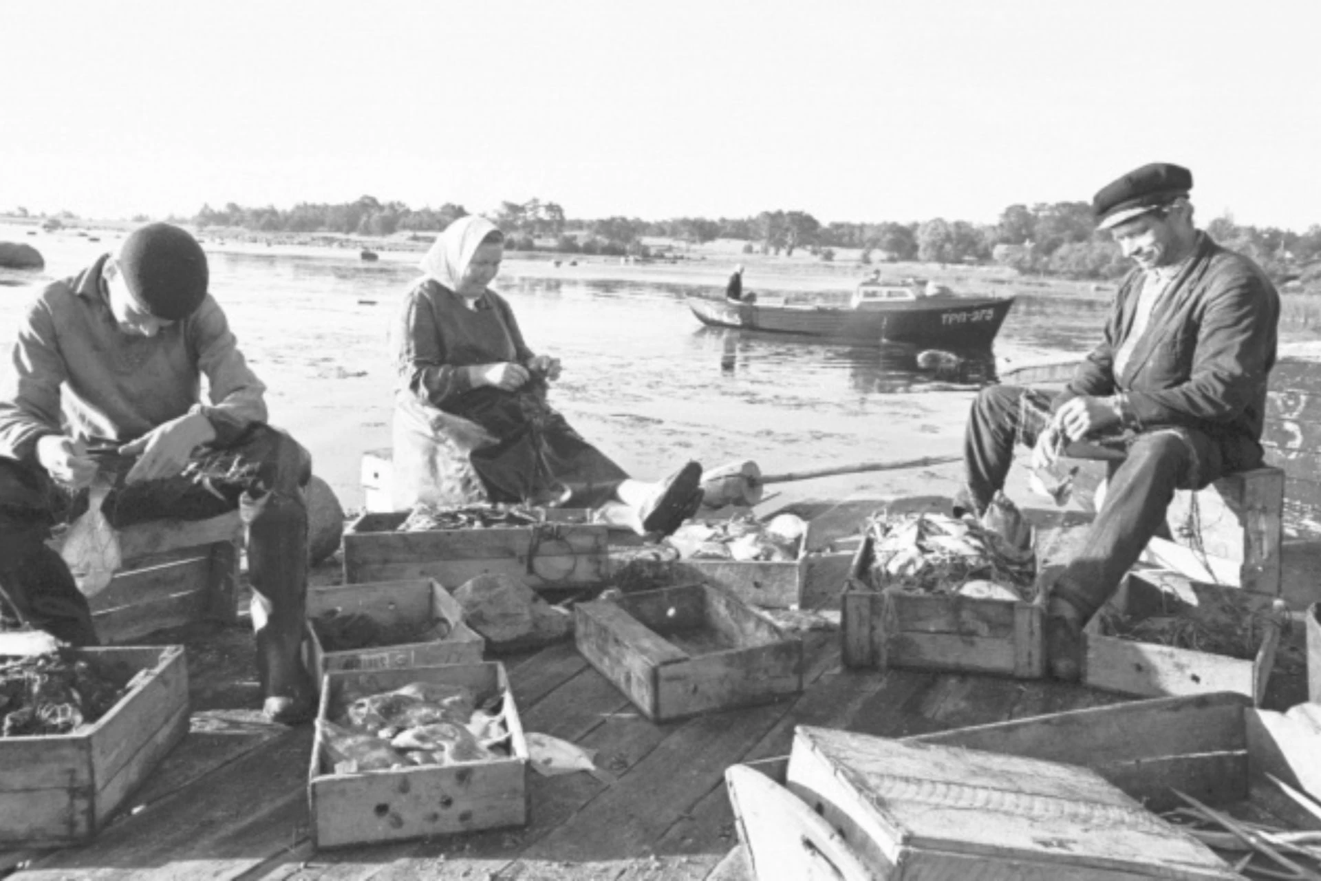 Black and white historical photo of Estonian fishermen and a woman sorting fish in wooden crates on the shore of the Baltic Sea